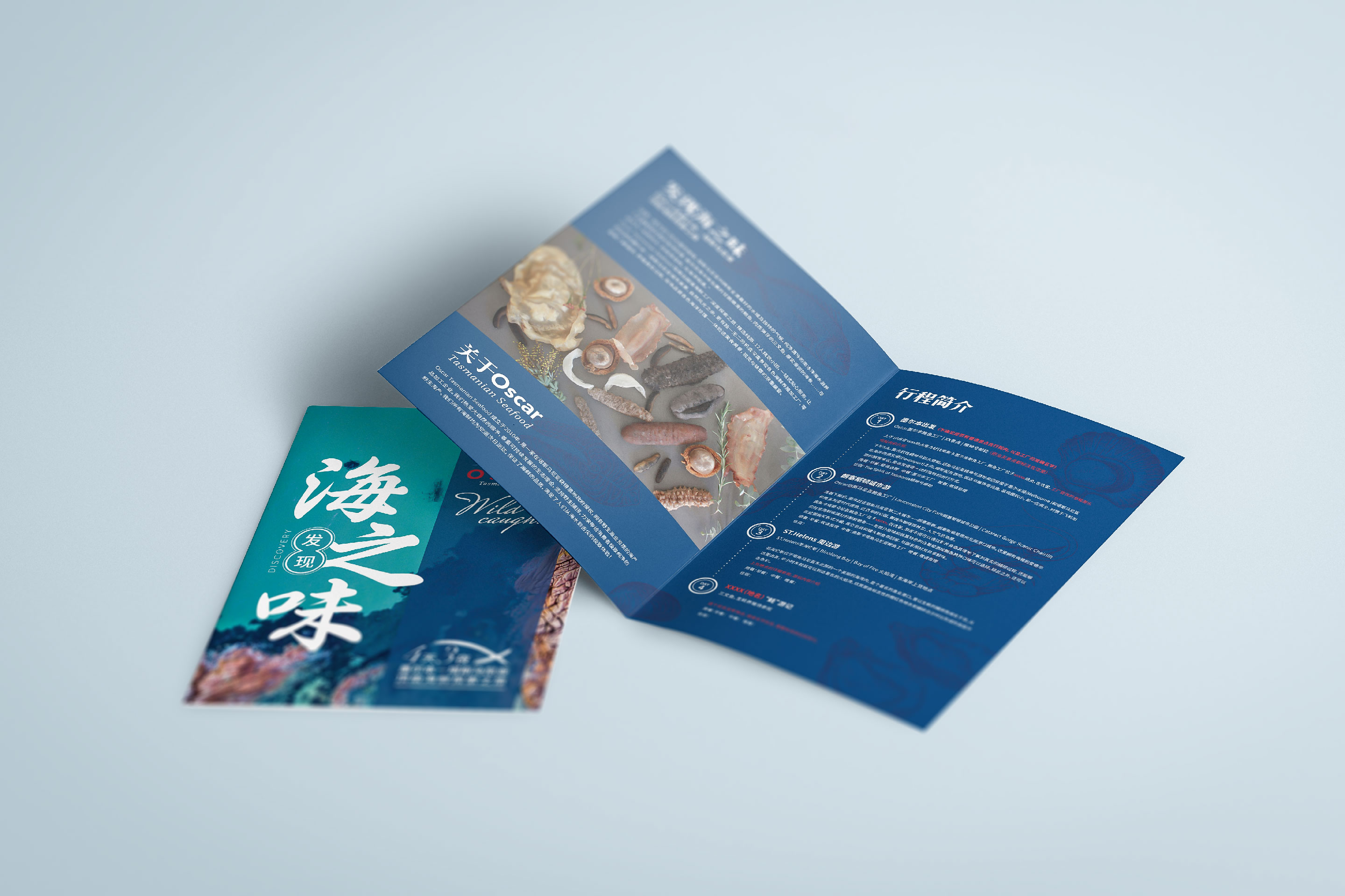 seafood tour brochure design by Z Creative Studio Branding & Graphic Design Melbourne
