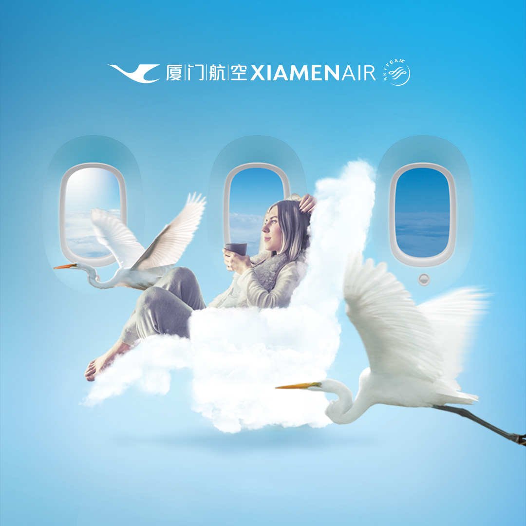 airline campaign by Z Creative Studio Branding & Graphic Design Melbourne